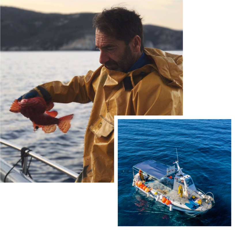 Le restaurant - L'Agula Marina - Cargèse - meilleur resto CARGESE