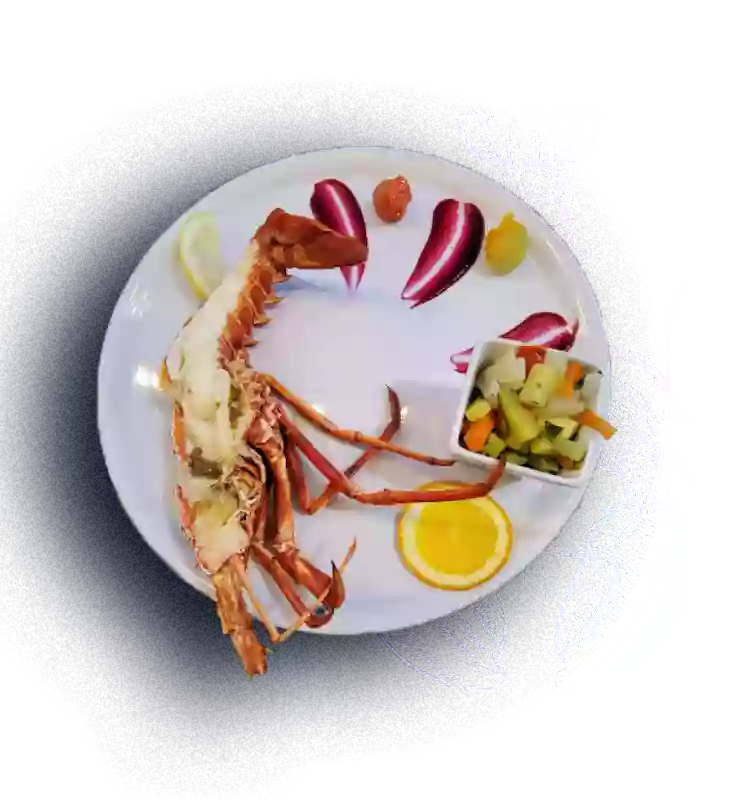 Le restaurant - L'Agula Marina - Cargèse - Cargèse restaurant
