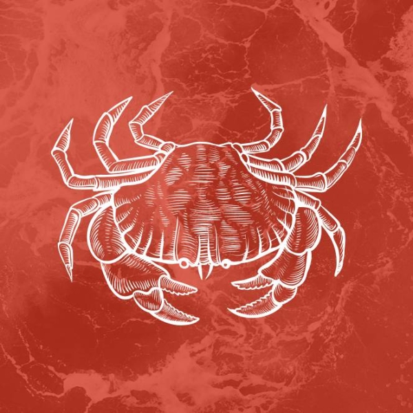 Le restaurant - L'Agula Marina - Cargèse - meilleur resto CARGESE