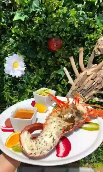 L'Agula Marina - Restaurant Cargèse - Restaurant poisson Cargese